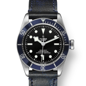 what to look for when buying a new or used tudor black bay watch